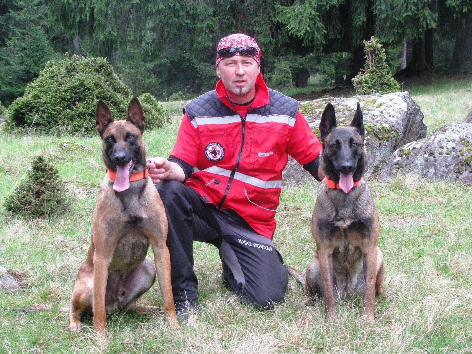 Doi Ciobănești Belgieni Malinois alături de conducătorul lor